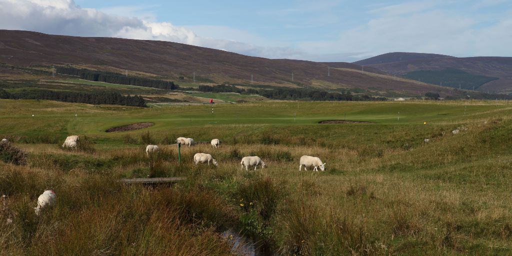 Brora Golf Club