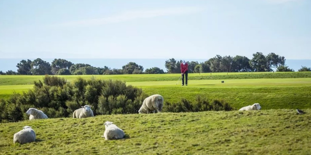 Cape Kidnappers