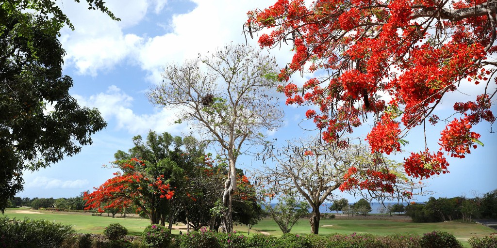Casa de Campo – The Links