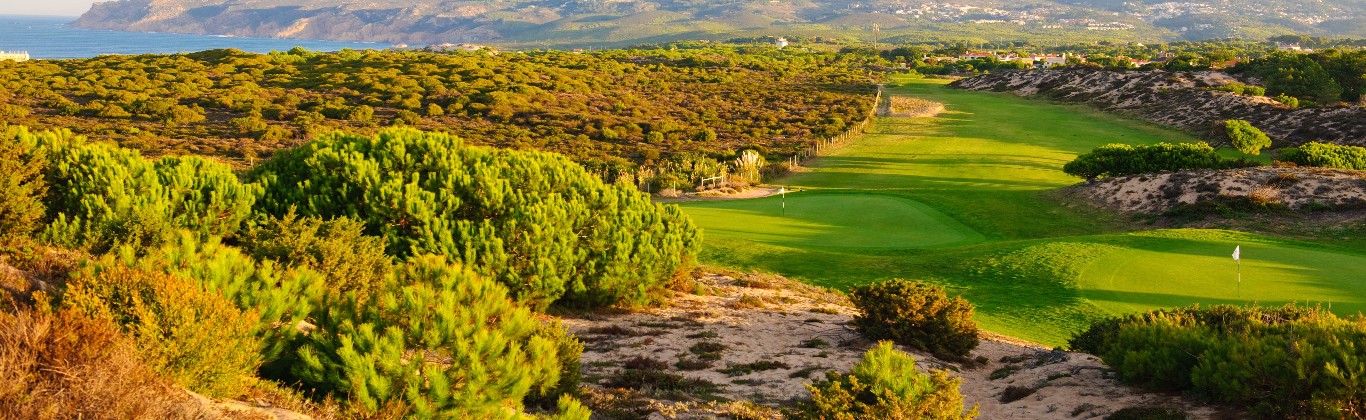 Oitavos Dunes
