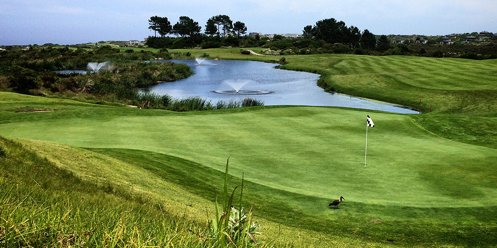Pezula Championship Course