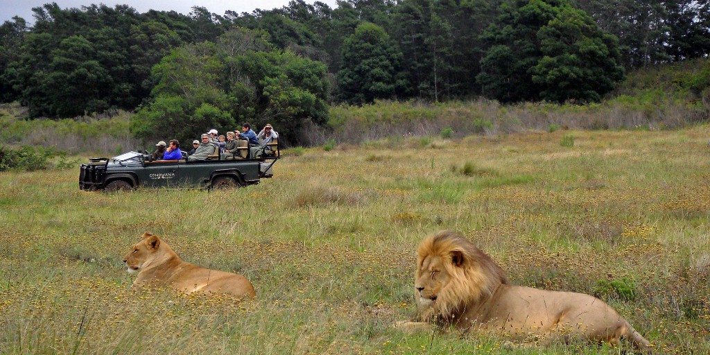 Gondwana Game Reserve